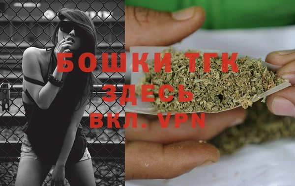 амф Верхний Тагил