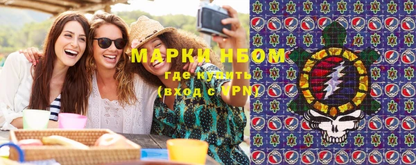 амф Верхний Тагил